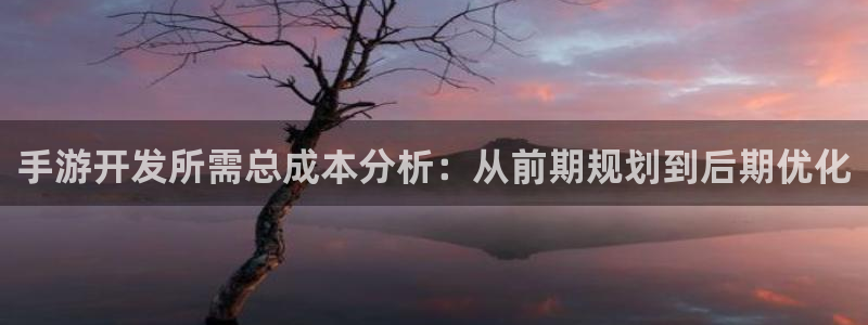 恒盛娱乐官网：手游开发所需总成本分析：从前期规划到后期优化