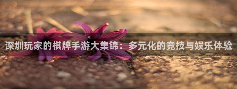 恒盛娱乐下载：深圳玩家的棋牌手游大集锦：多元化的竞技与娱乐体