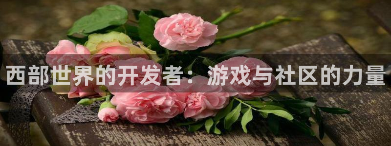 恒盛娱乐首页：西部世界的开发者：游戏与社区的力量