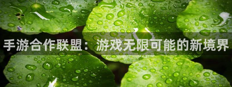 恒盛娱乐官网：手游合作联盟：游戏无限可能的新境界