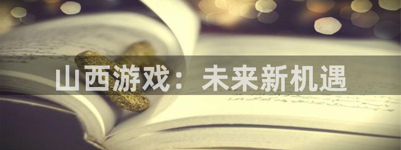恒盛娱乐平台：山西游戏：未来新机遇