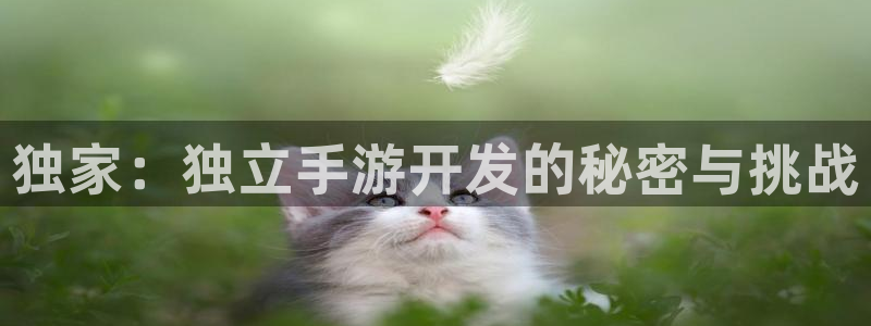 恒盛娱乐注册：独家：独立手游开发的秘密与挑战