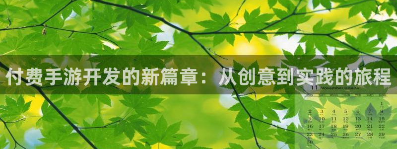 恒盛娱乐：付费手游开发的新篇章：从创意到实践的旅程