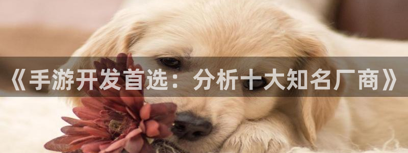 恒盛娱乐app：《手游开发首选：分析十大知名厂商》