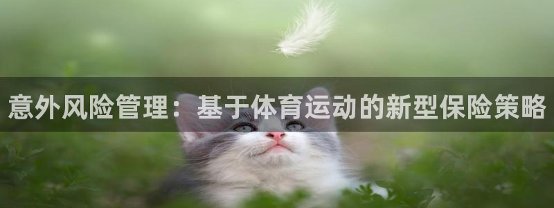 中欧体育李勇鸿：意外风险管理：基于体育运动的新型保险策略