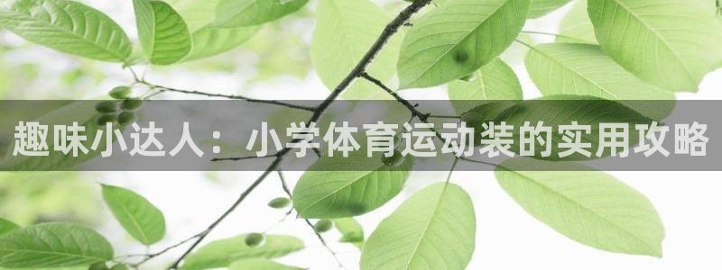 zoty中欧体育：趣味小达人：小学体育运动装的实用攻略