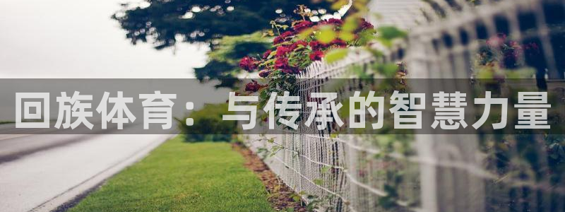 中欧体育kok官网首页：回族体育：与传承的智慧力量