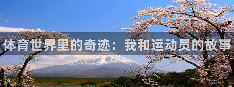 中欧体育最新地址：体育世界里的奇迹：我和运动员的故事