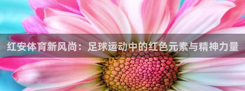 kok中欧体育：红安体育新风尚：足球运动中的红色元素与精神力量