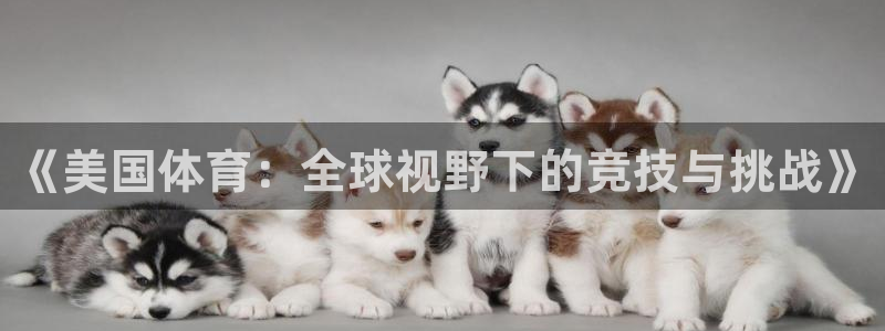 中欧体育ac米兰：《美国体育：全球视野下的竞技与挑战》
